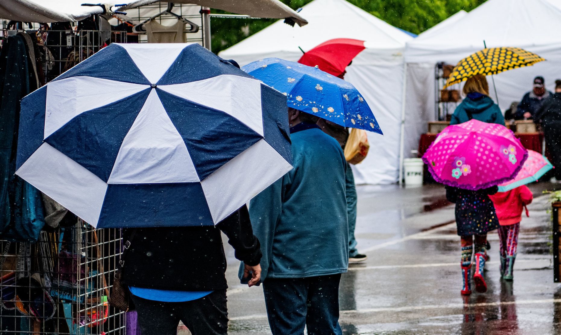 Strawberry Festival in the rain